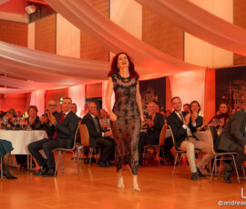 © www.AndreasLander.de