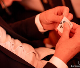 © www.AndreasLander.de