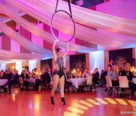 © www.AndreasLander.de