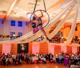 © www.AndreasLander.de