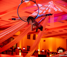 © www.AndreasLander.de