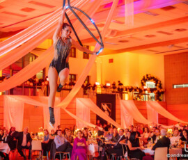 © www.AndreasLander.de