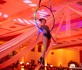 © www.AndreasLander.de