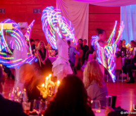 © www.AndreasLander.de