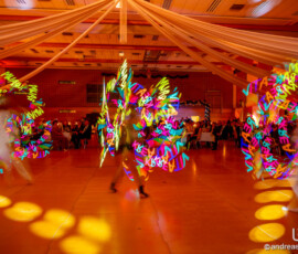 © www.AndreasLander.de